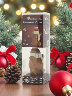 Artykuły Chemiczne^Royalfashion Świąteczne pałeczki zapachowe Peppermint&Citrus